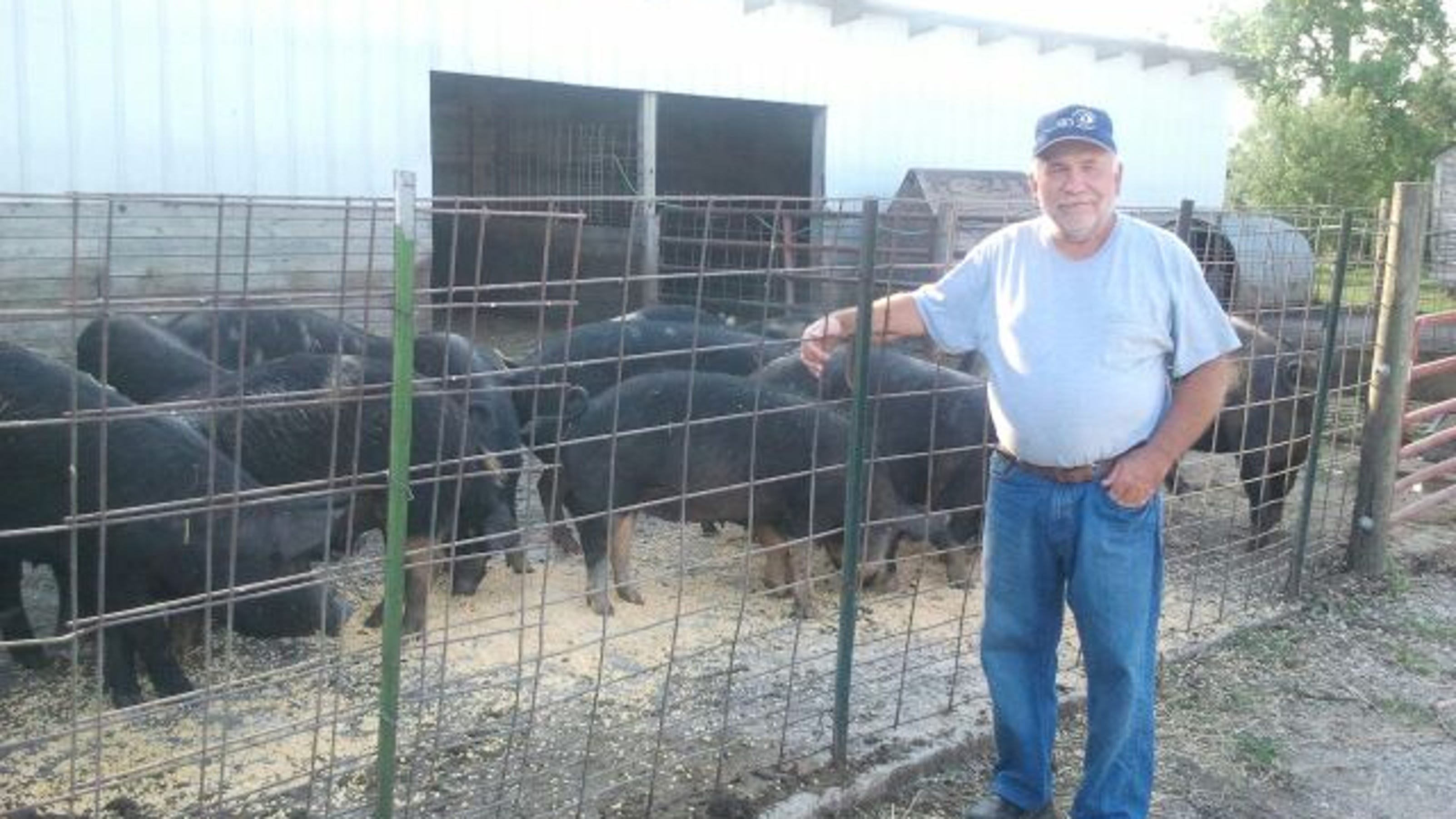 PETERSEN Pigs go insane in gestation crates Asbury Park Press Meat