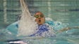 Fairport's Grace Chen swims the 100-yard backstroke