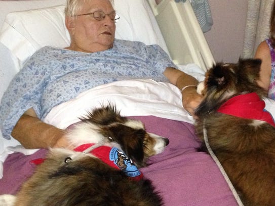 Brutus & Tytus visiting a patient in the hospital.