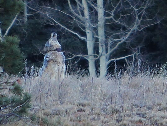 635503588406490457-IMG-6517