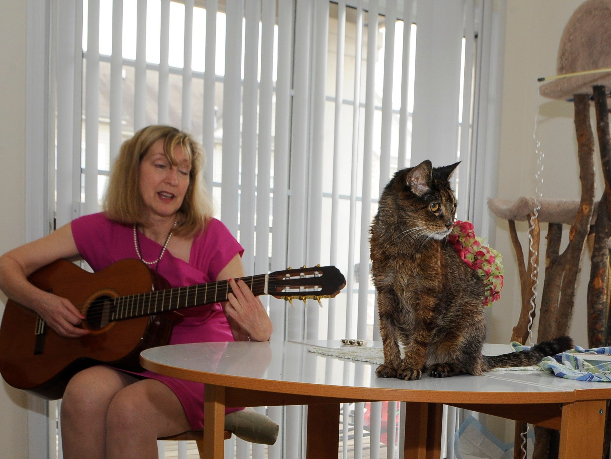 Jennifer Roberts, 61, has changed careers several times, and is now preparing for her next career path.  While at home, she likes to play guitar, sing and is think about working with older folks. She also is involved in animal rescue and has several