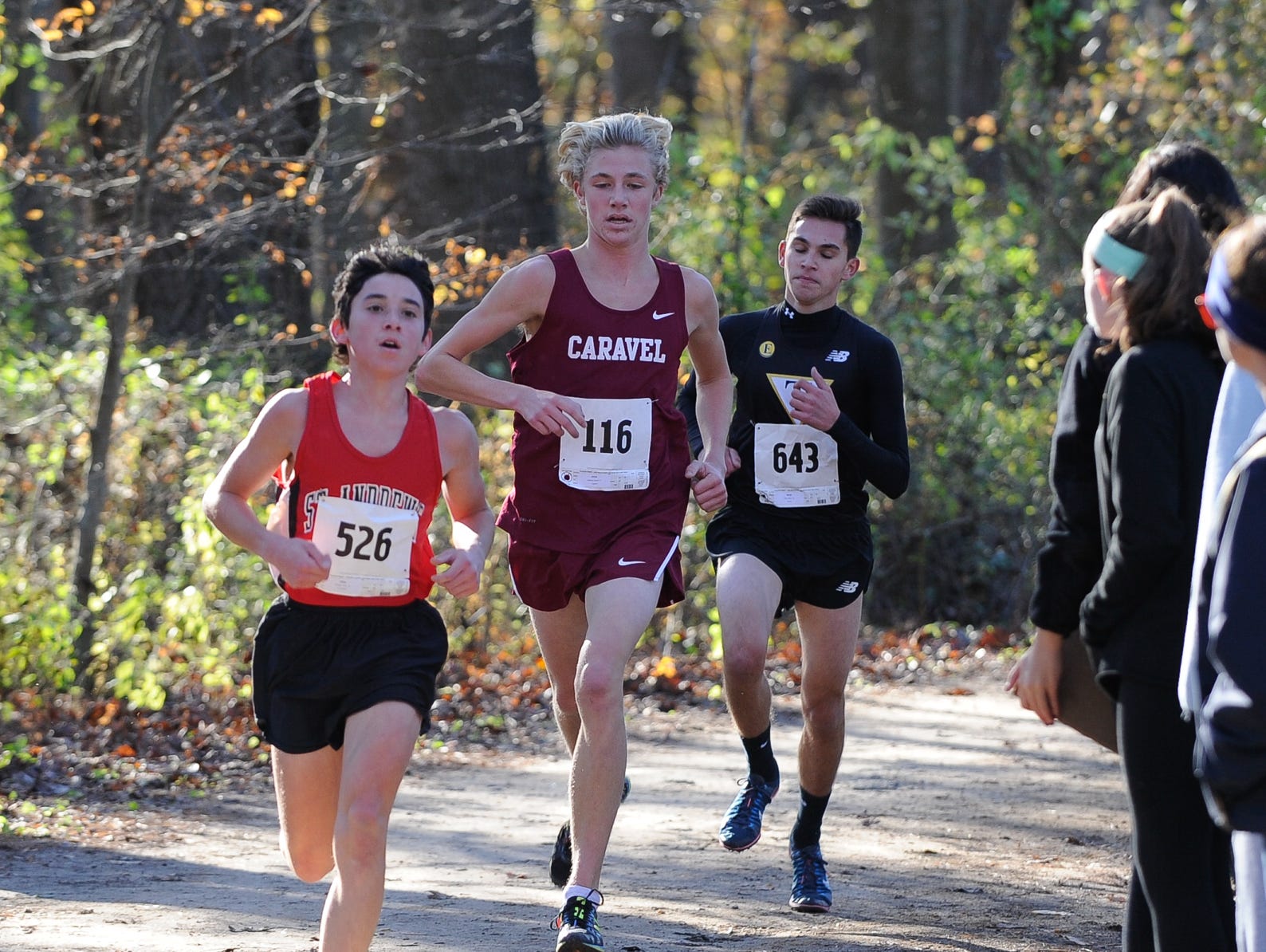 Boy's race in the Division II DIAA Cross Country State Championships at Killens Pond State Park in Felton.