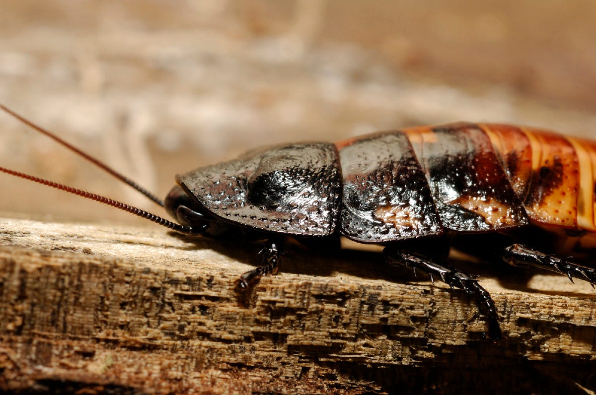 The Latest US and World News - USATODAY.