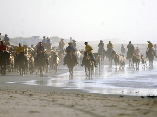 Heroes, Heroines, and History: The First Pony Penning Day