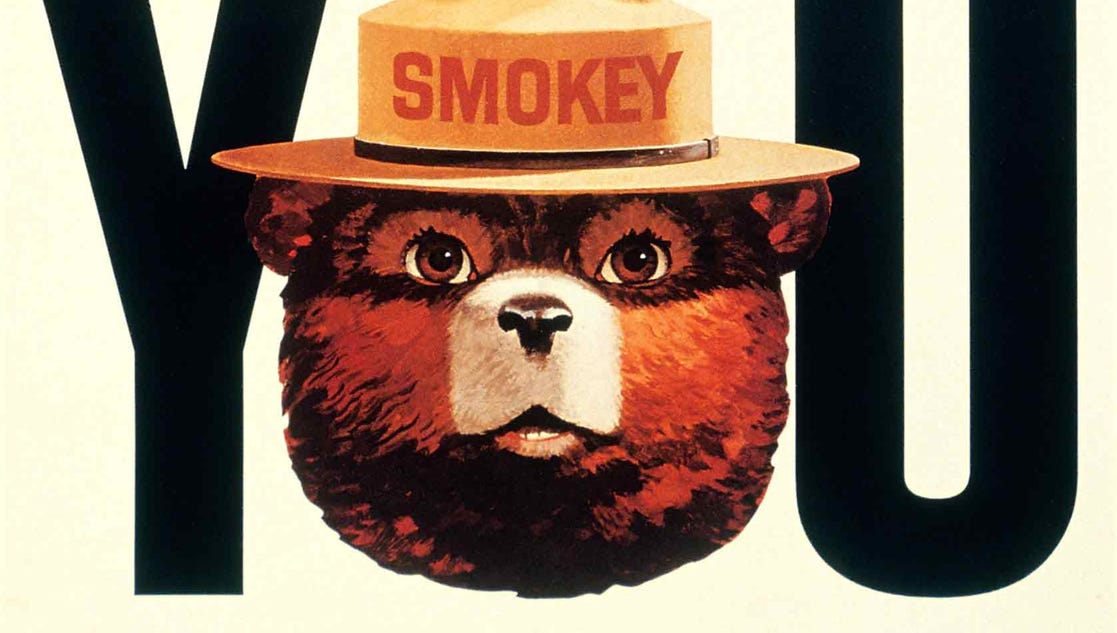 smokey the bear dog collar