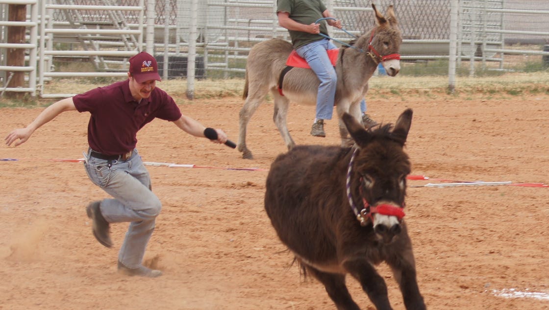 Donkey baseball rides into town this weekend