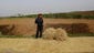 In this June 24, 2015, photo, a farmer stands in front