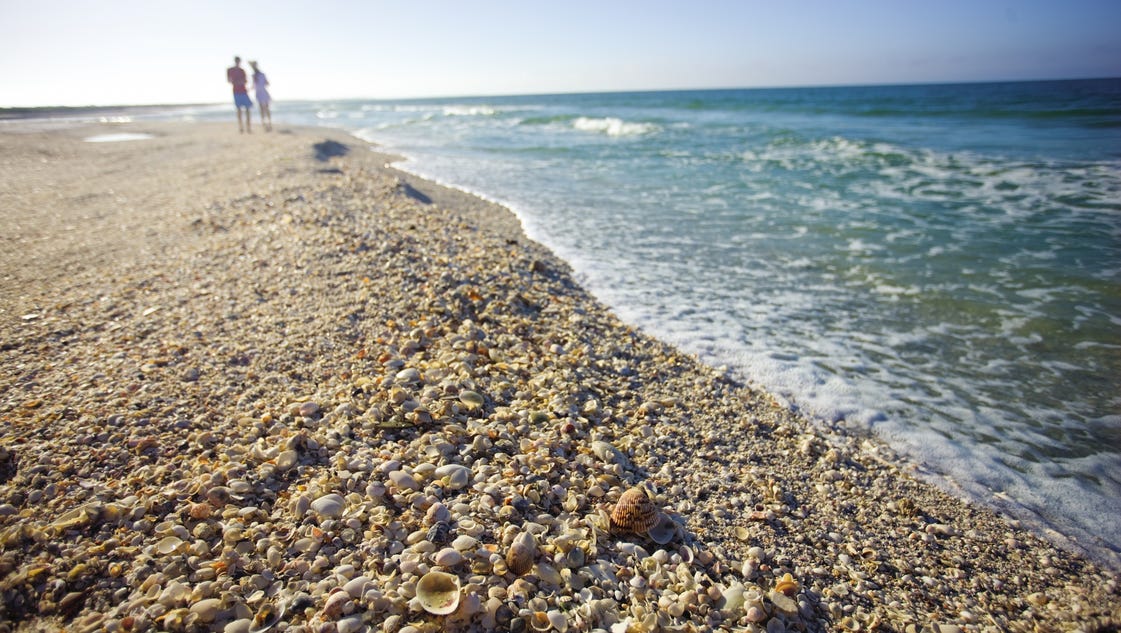 The Best Beachcombing Beaches Around The Usa