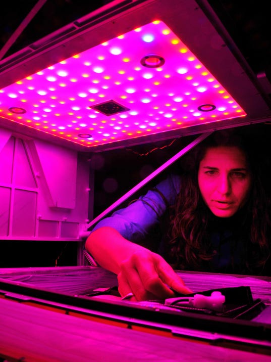 KSC Veggie Experiment