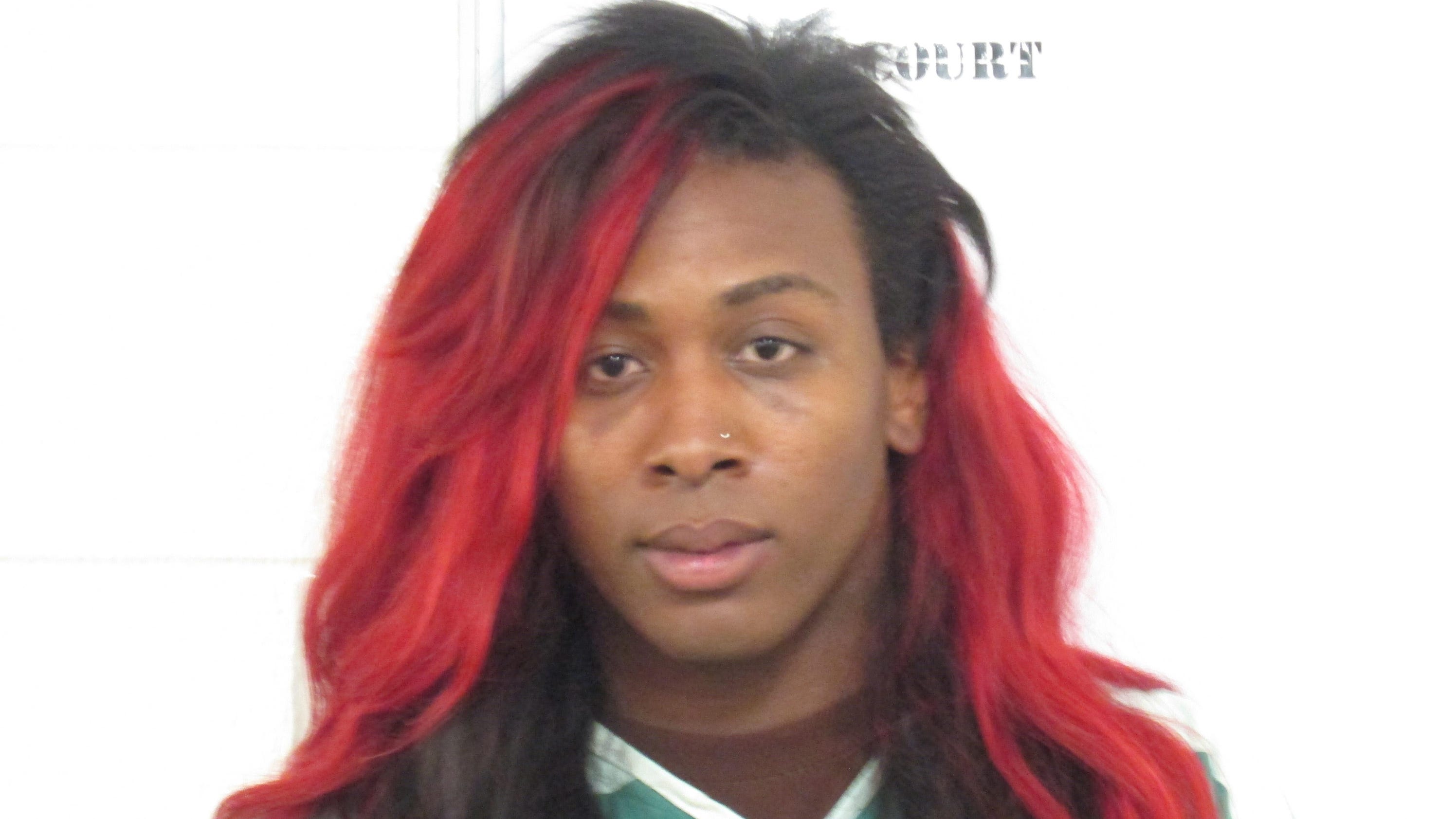 Ts Bronx Arrested