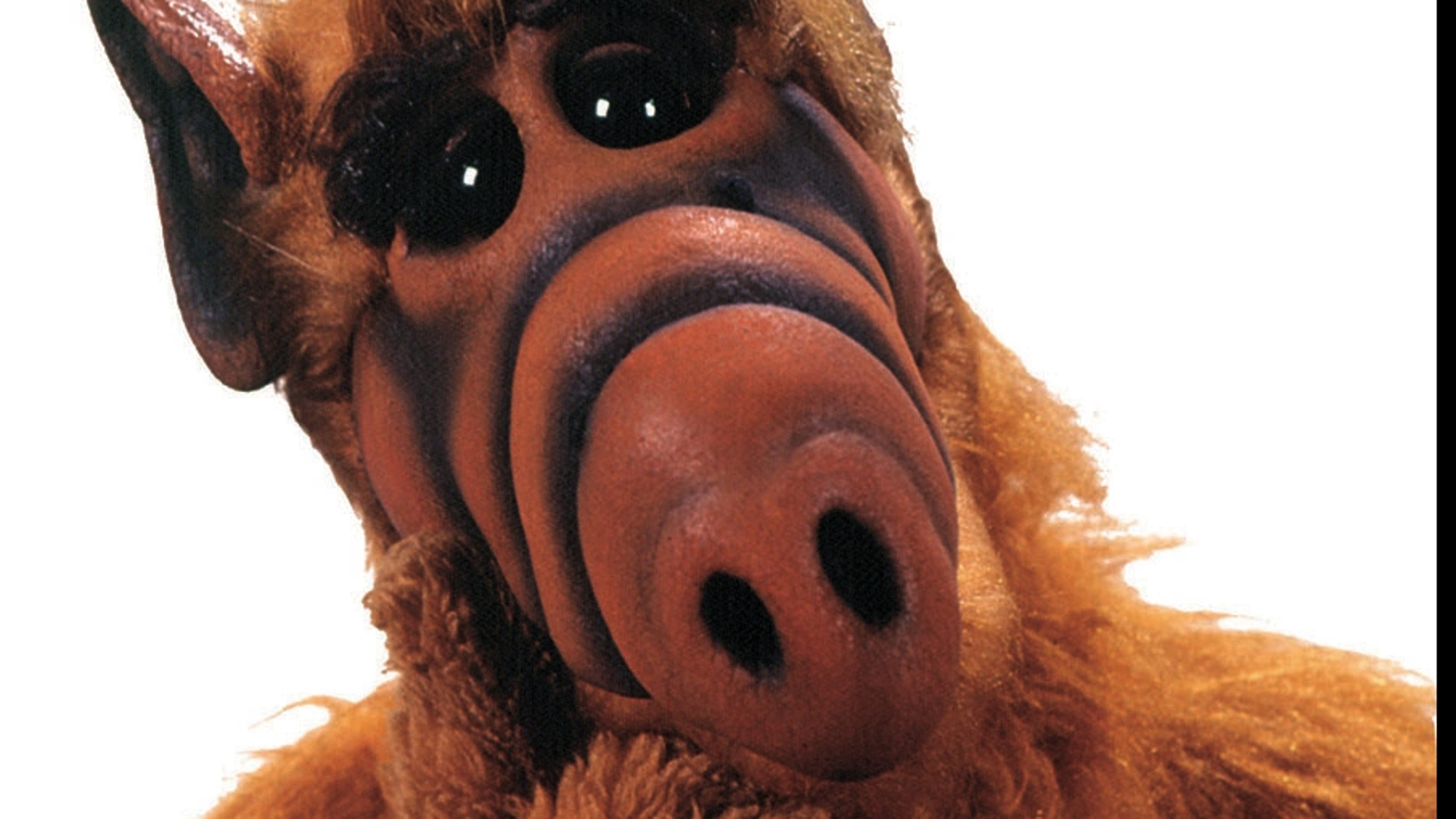 alf movie alf movie