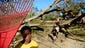 TOPSHOTS Children play in the debris in Vanuatu's capital