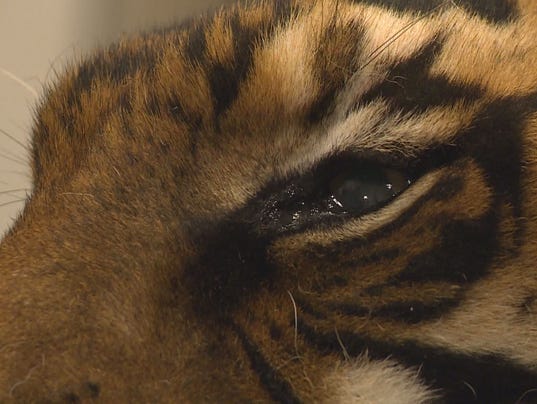 635647997301880480-Still0416-00001