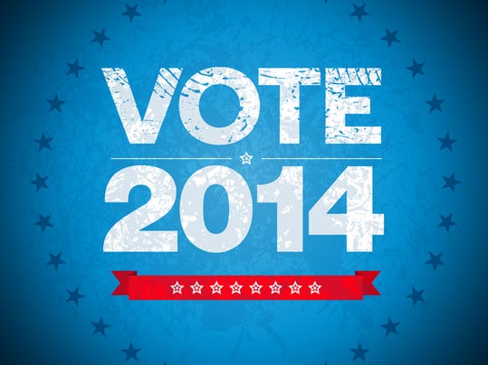 voting2014.jpg