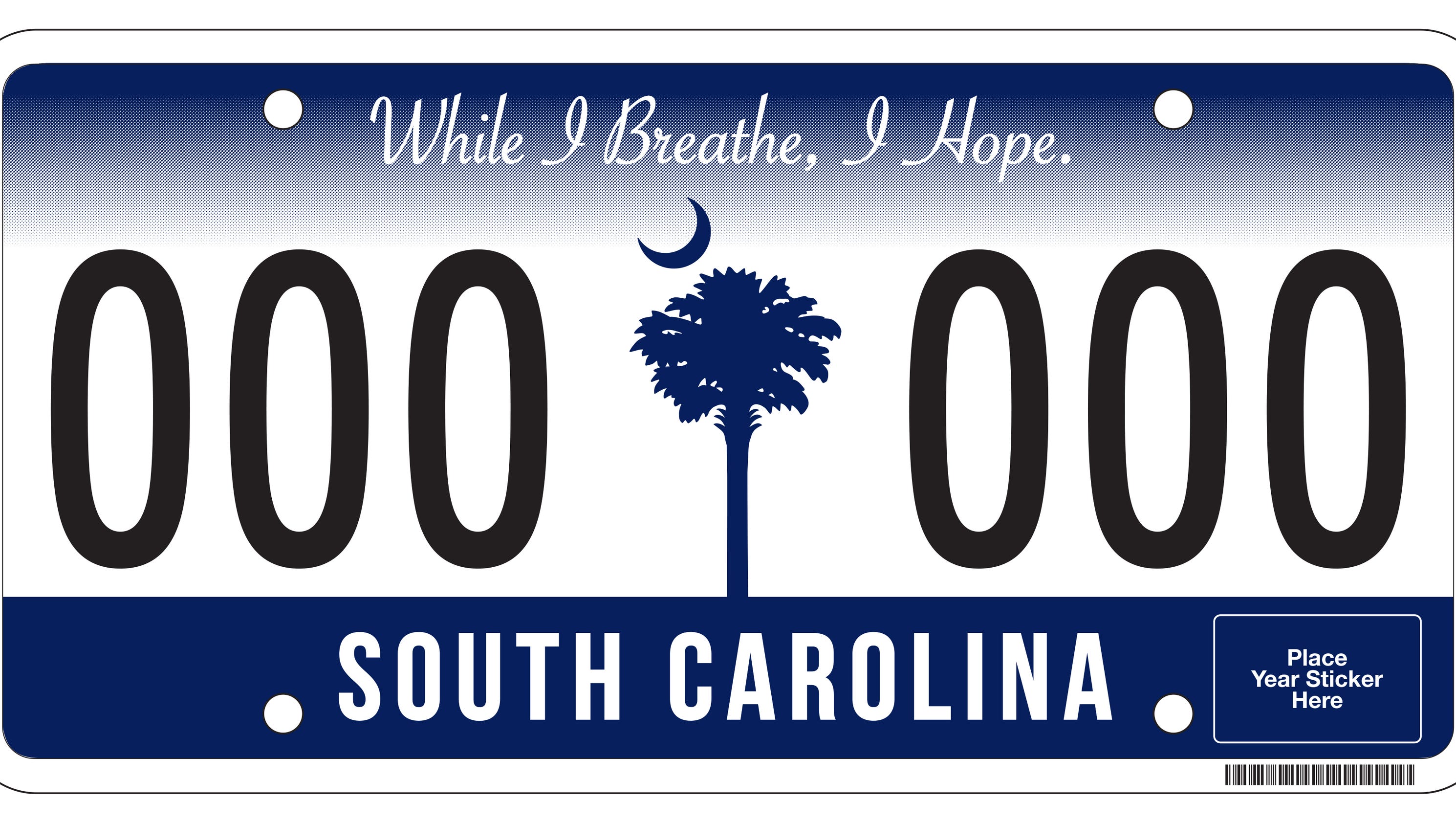 Q&Amy How was new SC license plate chosen?