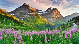 A field of wildflowers along Glacier’s Going-to-the-Sun Road.