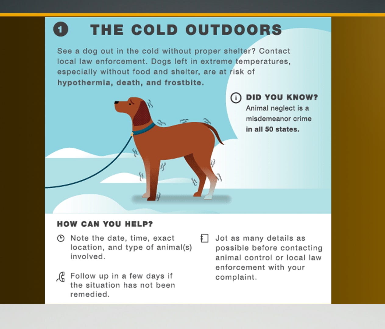 Tips for protecting animals during cold weather spells Tips for protecting animals during cold weather spells
