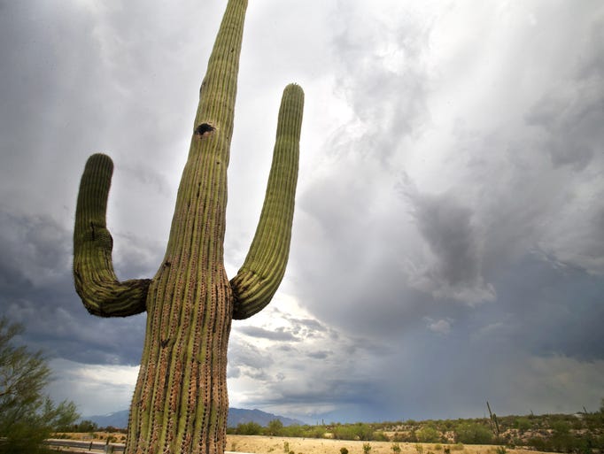 5 biggest Phoenix weather records