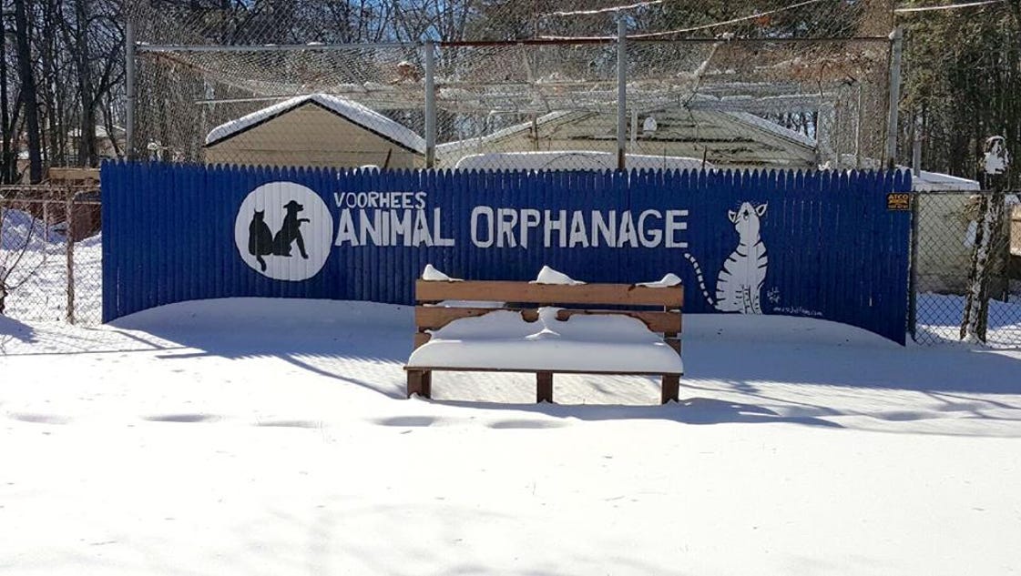 Voorhees Animal Orphanage raising money for makeover
