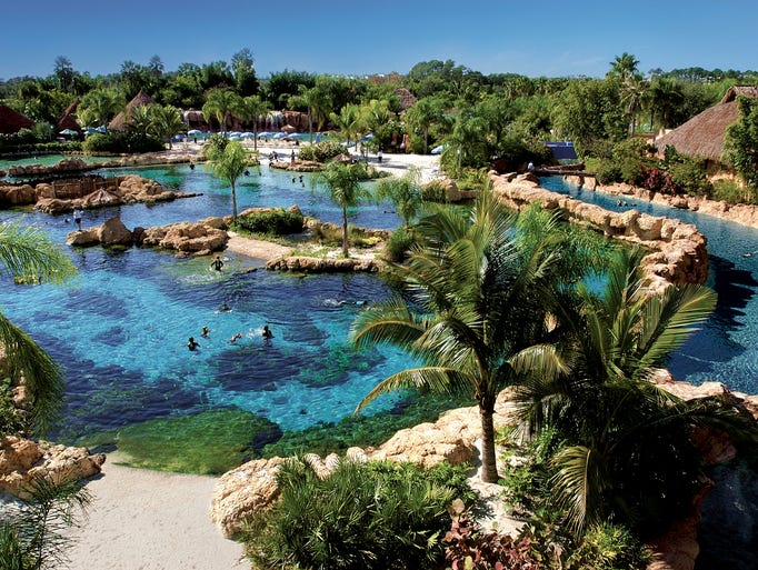 Discovery Cove Swim with dolphins, not crowds