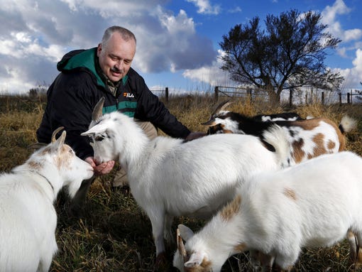 Goats for Afghans