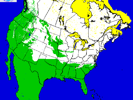A map from the National Ice Center shows snow in every