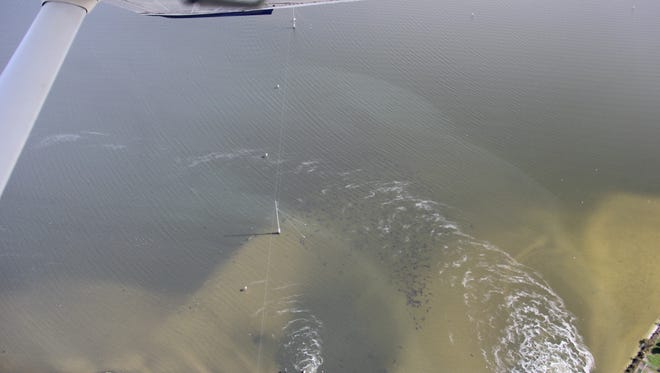 Florida manatee deaths are a man-made environmental disaster - Florida Fish and Wildlife Conservation Commission
Manatees huddle in the winter at the warm water discharge of Florida Power and Light's power plant in Port St. John. Observers fly over power plants and other warm-water discharge areas to count manatees every winter. Recent counts put the manatee population at more than 6,000.