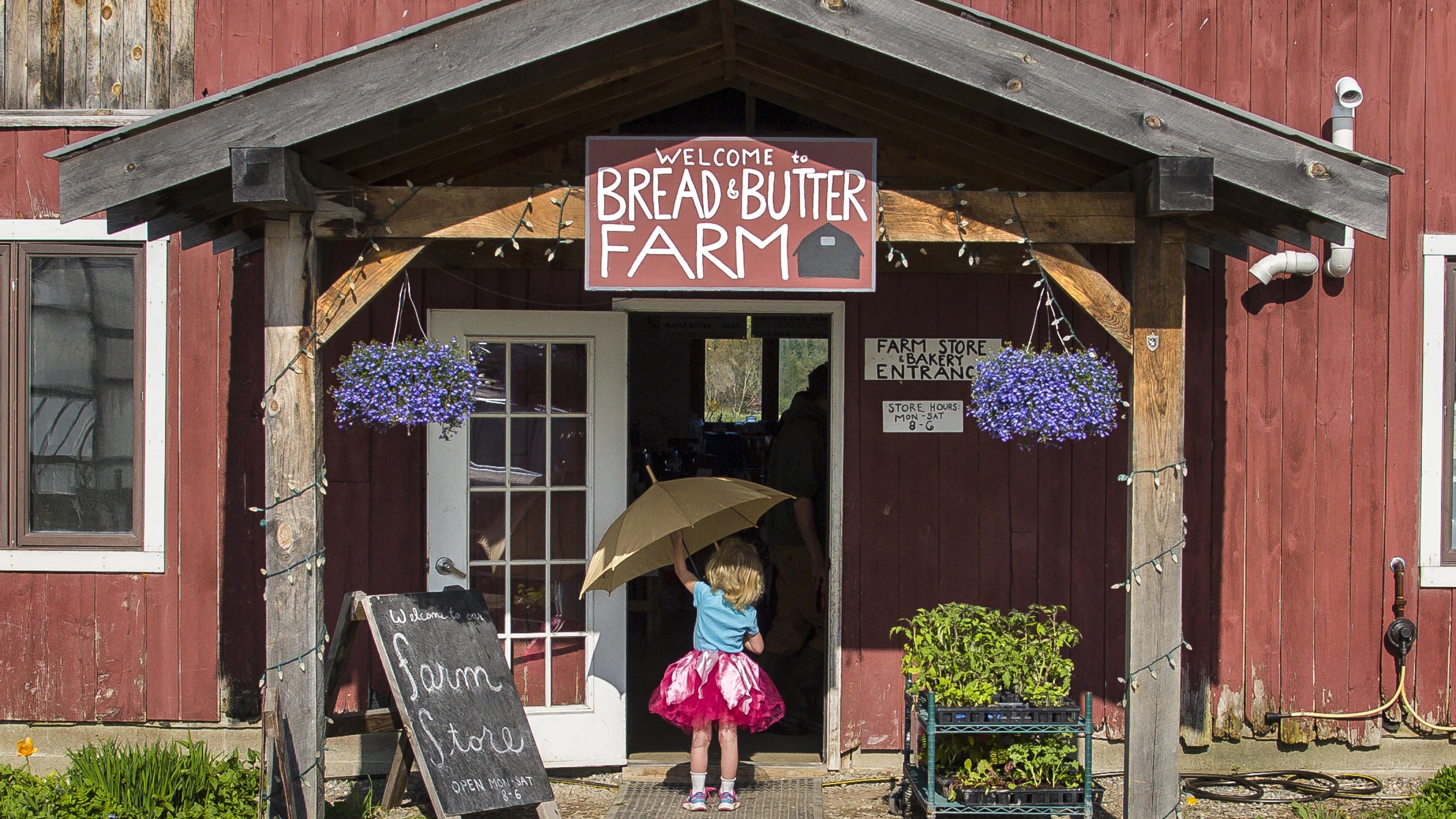 Coffee shop added to mix at unique Shelburne farm