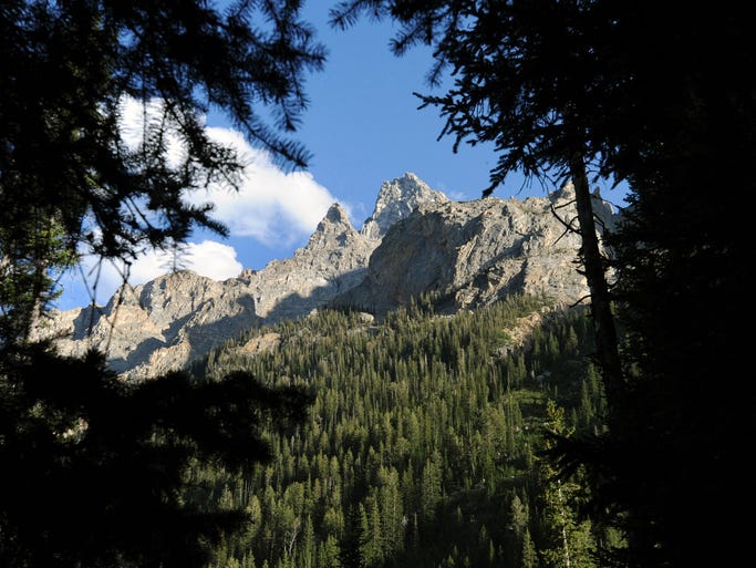 Evergreens blanket Grand Teton National Park.