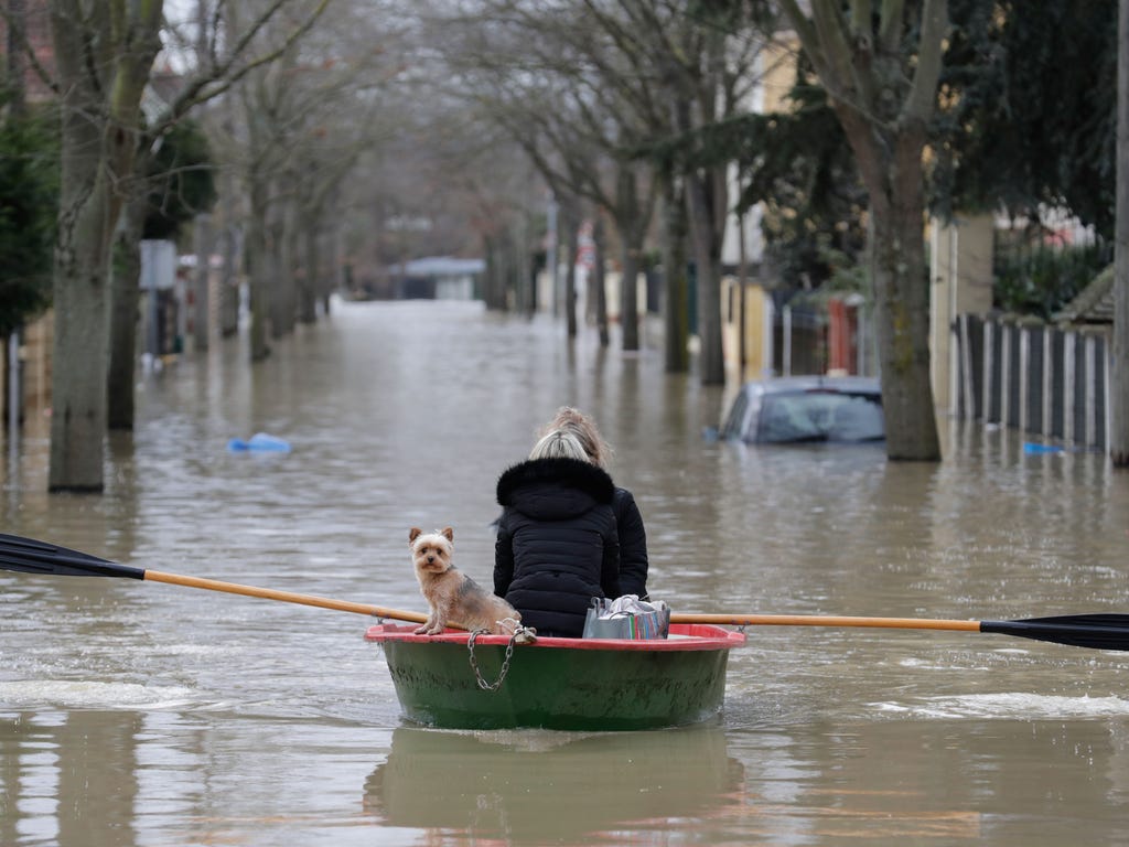 Local residents and their dog go down a flooded street in a rowboat in Villeneuve-Saint-Georges on Jan. 24, 2018.\u000dFrance braced for floods on January 23 as the Rhine threatened to overflow and the rapidly rising Seine forced Paris authorities to
