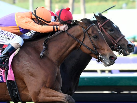Horse Racing: 33rd Breeders Cup World Championships