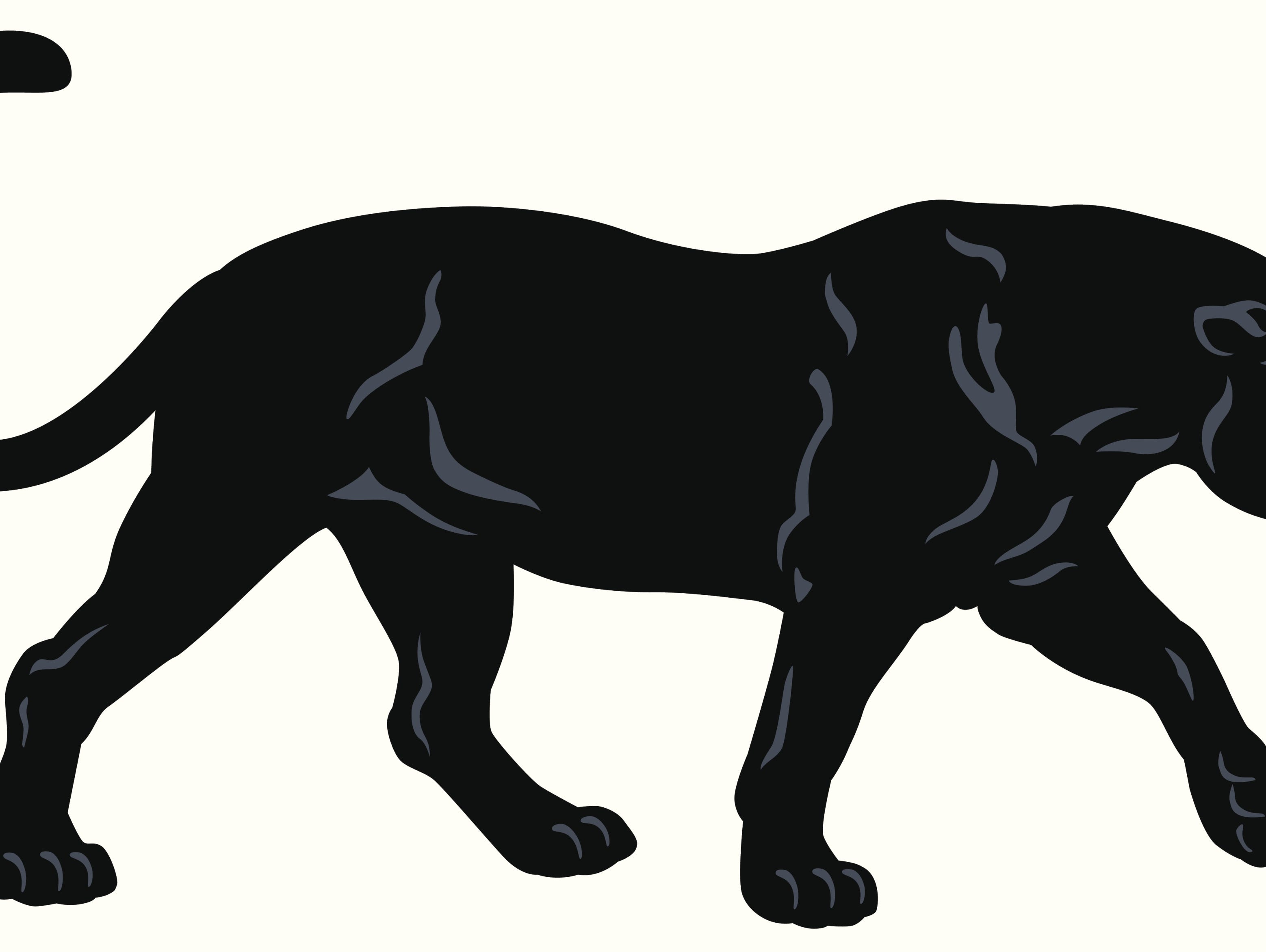 black panther