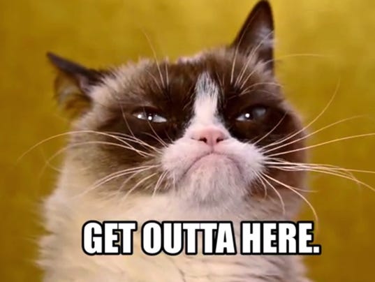 1395956716000-Grumpy-Cat.jpg