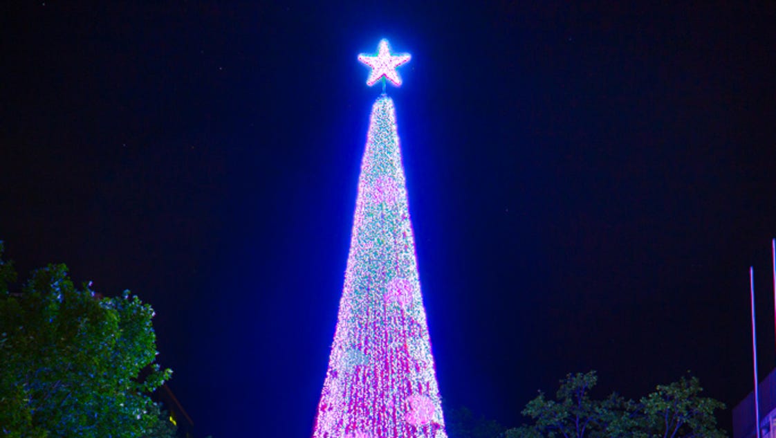 australian christmas tree sets world record with 518 838 australian christmas tree sets world record with 518 838