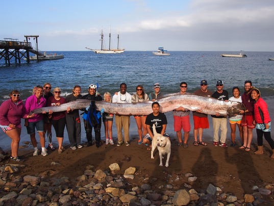 18-foot sea creature found off California coast