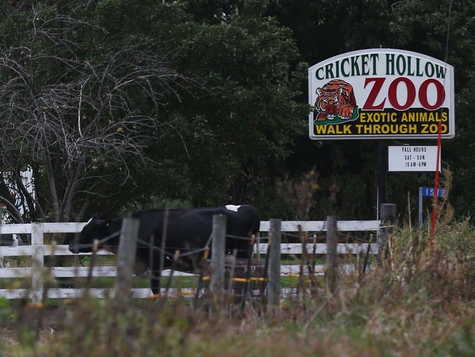 10 photos Inside the Cricket Hollow Zoo