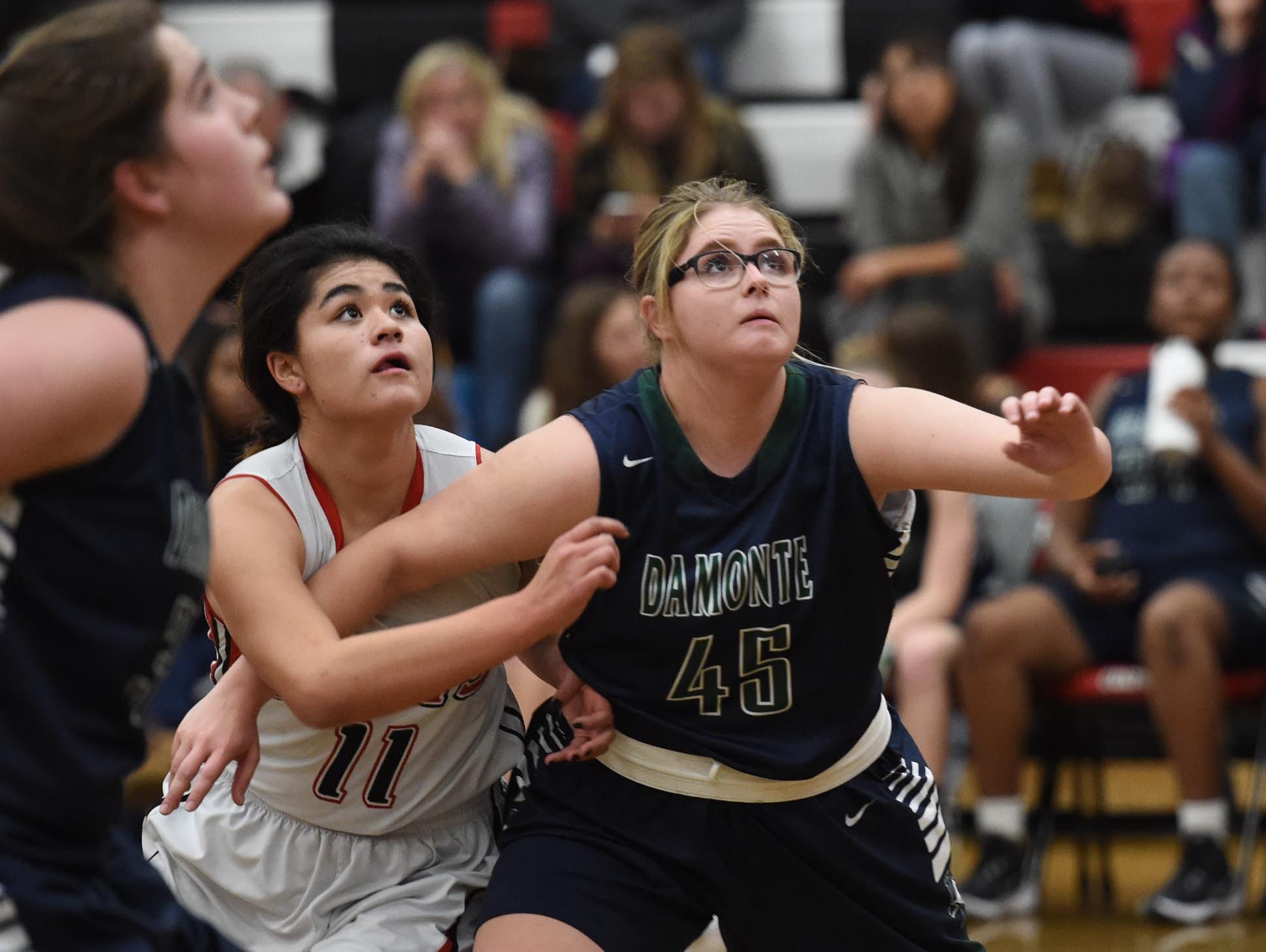 Damonte Ranch beat Wooster in girls basketball, 44-32, Tuesday at Wooster.