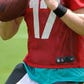 Ryan Tannehill in control at Dolphins training camp
