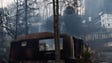 A cabin near the Park Vista hotel after wildfires mixed