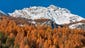 Autumn colors in Massif des Ecrins, in the French Alps.