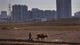 A North Korean soldier plows a field on the outskirts of Pyongyang.
