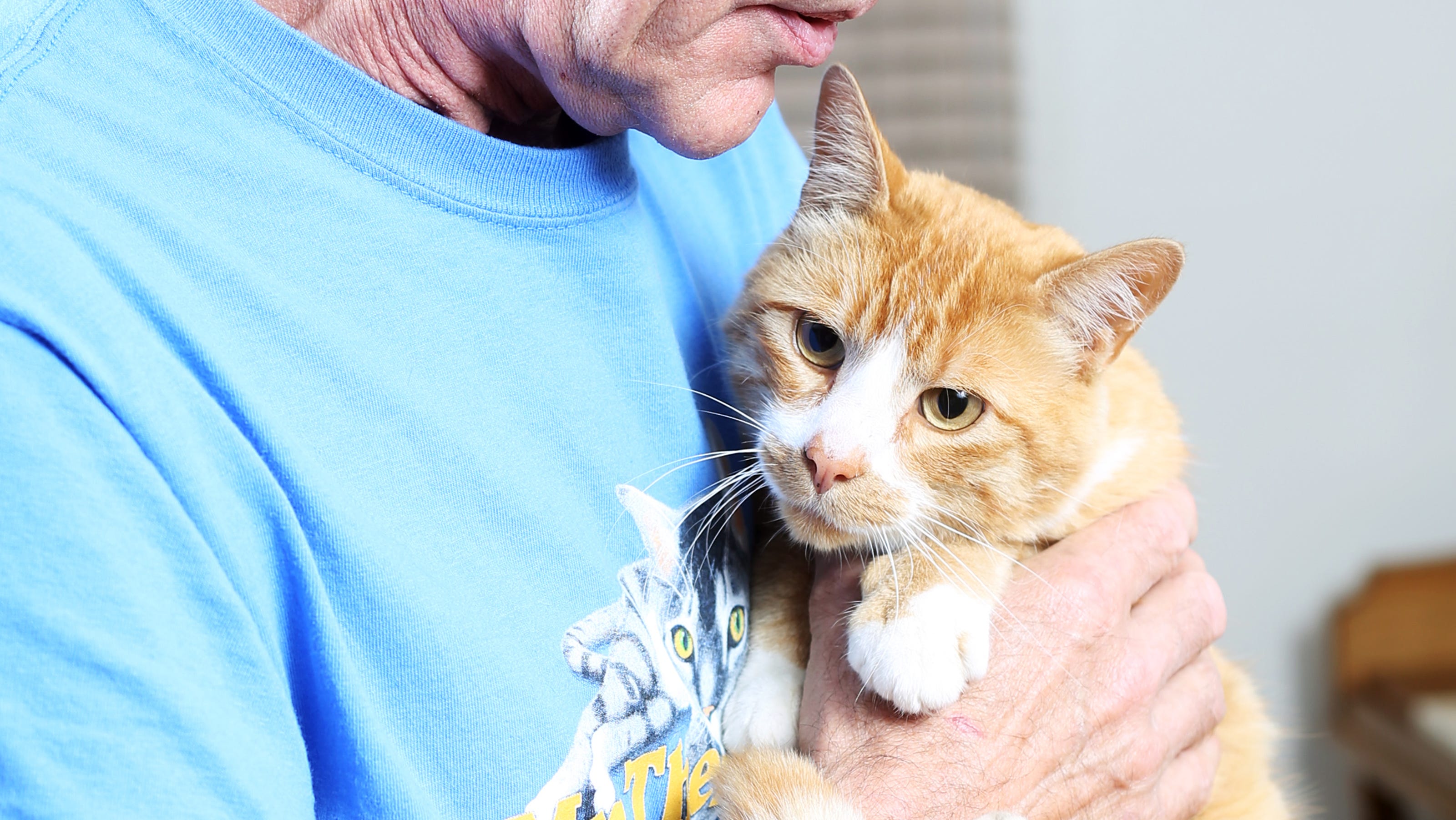 Therapy cats at Salem Hospital provide warmth, comfort