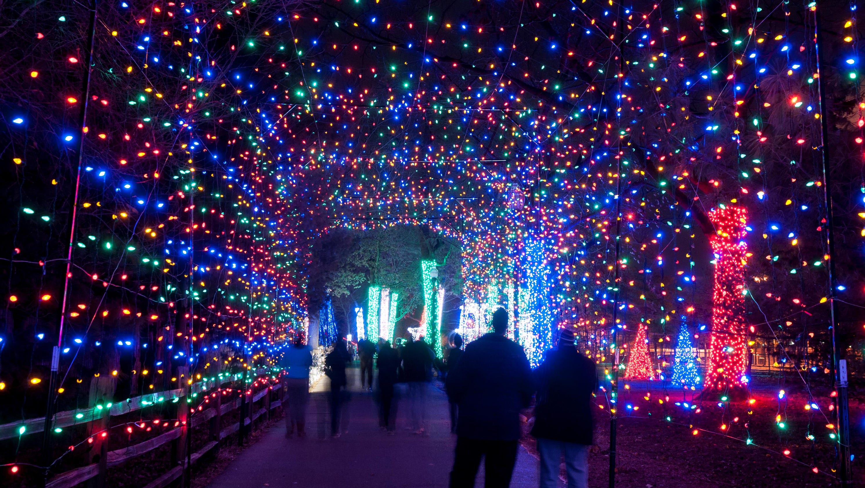 Wild Lights at the Detroit Zoo