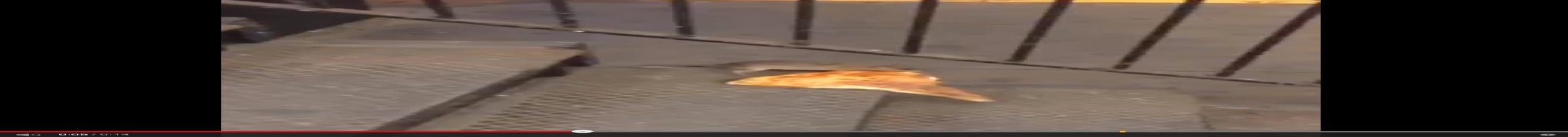 Things the Internet loved in 2015