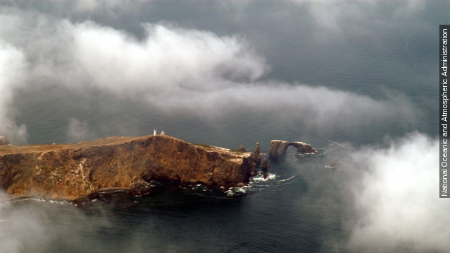 How California oil spill could hurt 'Galapagos of The North'