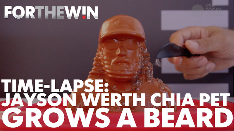 Time lapse: Jayson Werth chia pet grows gnarly beard