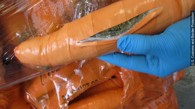 US customs agents seize 2,800 marijuana &#39;carrots&#39;