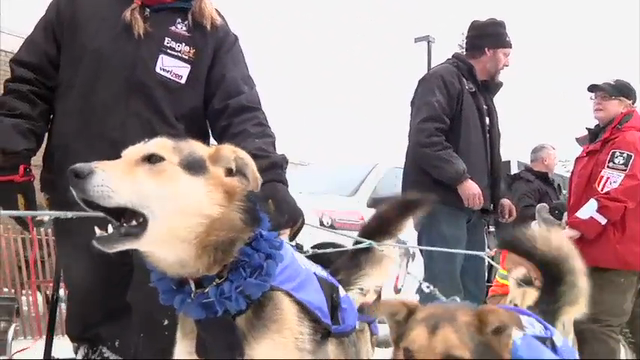 Raw: Iditarod Ceremonies Preview Sled Dog Race