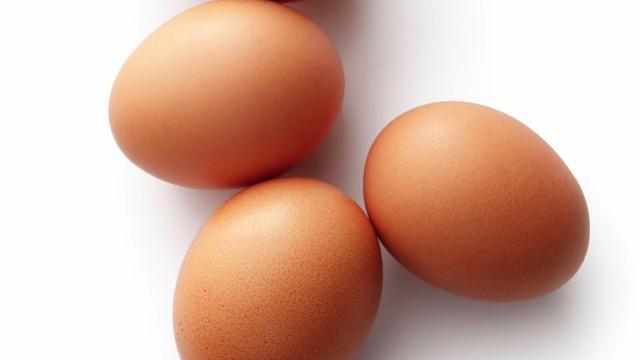 Man pleads guilty to egging house more than 100 times