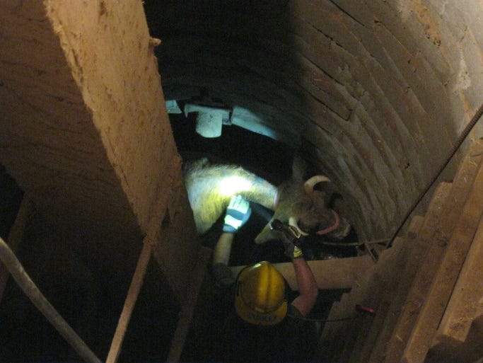 Firefighters team up to rescue cow after falling into silo pit.